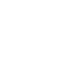 Transporte y distribución - icono - blanco